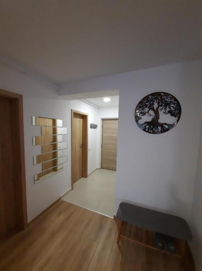 Sorin'S Comfortable Apartment Braşov Eksteriør billede